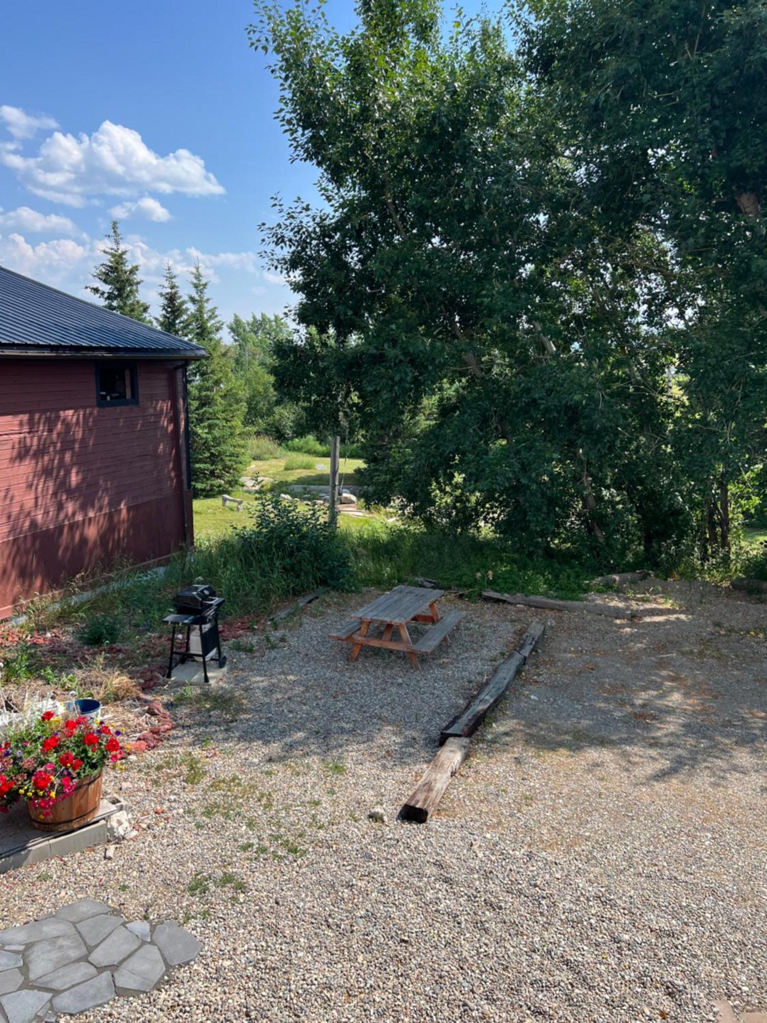 Bear Country Inn And Suites Mountain View Exteriör bild